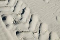 Vehicle footprint on sand Royalty Free Stock Photo