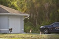 Vehicle parked in front of wide garage double door on paved driveway of typical contemporary american home