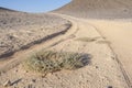 Vehicle tracks through an arid desert Royalty Free Stock Photo