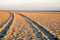 Vehicle Tracks on the Beach