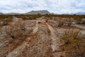 Vehicle Tracks Sonora Desert Arizona San Tan Mountains