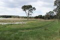 Vehicle tyre marks at the lake foreshore area of a fishing, boating and camping ground Royalty Free Stock Photo