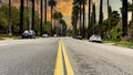 Vehicles driving on the roadway of the famous Palm Walk in Beverly Hills in the city of Los Angeles, in the state of California.