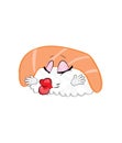 Kissing cartoon illustration of sushi Royalty Free Stock Photo