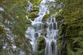 Veil of the Upper Proxy Falls Oregon Royalty Free Stock Photo