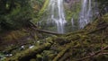 Veil Waterfall Lower Proxy Falls Central Oregon