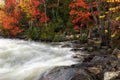 Veiled Autumn Rapids 2 Royalty Free Stock Photo