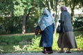 Veiled Muslim women walking in public garden on back