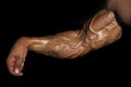 Veins and tendons in the arm. Arm with muscles, biceps, triceps and veins on black background. Muscular bodybuilder