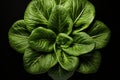 Veiny Spinach leaf top view. Generate Ai