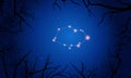 Vela constellation. Tree branches, starry sky Royalty Free Stock Photo