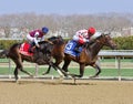 Velazquez on Mind Control Winning a Stake Race Royalty Free Stock Photo