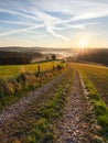 Velbert, Germany. Autumn sunrise in the Bergisches Land region. Grazing cows in the meadow in the morning. Rural landscape