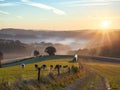 Velbert, Germany. Autumn sunrise in the Bergisches Land region. Grazing cows in the meadow in the morning. Rural landscape