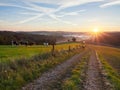 Velbert, Germany. Autumn sunrise in the Bergisches Land region. Grazing cows in the meadow in the morning. Royalty Free Stock Photo