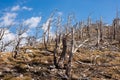 Velebit, Croatia