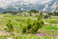 Big Pasture Plateau in the Kamnik Alps, Slovenia. Mountain cottage hut or house on green hill. Alpine meadow landscape. Farm