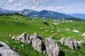 Velika Planina or Big Pasture Plateau, Slovenia. Royalty Free Stock Photo