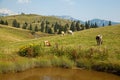 Velika planina, Slovenia