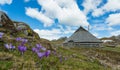 Velika planina Royalty Free Stock Photo