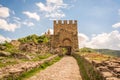 Veliko Tarnovo castle gate Royalty Free Stock Photo