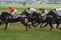 Velka Pardubicka Steeplechase in Pardubice, Czech Republic. Royalty Free Stock Photo