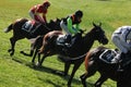 Velka Pardubicka Steeplechase in Pardubice, Czech Republic. Royalty Free Stock Photo