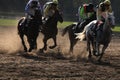 Velka Pardubicka Steeplechase in Pardubice, Czech Republic. Royalty Free Stock Photo