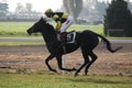 Velka Pardubicka Steeplechase in Pardubice, Czech Republic. Royalty Free Stock Photo