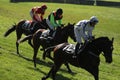 Velka Pardubicka Steeplechase in Pardubice, Czech Republic. Royalty Free Stock Photo