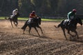 Velka Pardubicka Steeplechase in Pardubice, Czech Republic. Royalty Free Stock Photo