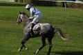 Velka Pardubicka Steeplechase in Pardubice, Czech Republic Royalty Free Stock Photo