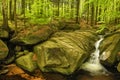 Velky Falls in super green forest surroundings, Czech Republic Royalty Free Stock Photo