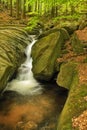 Velky Falls in super green forest surroundings, Czech Republic Royalty Free Stock Photo