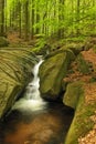 Velky Falls in super green forest surroundings, Czech Republic Royalty Free Stock Photo