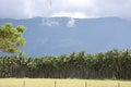 Velliangiri Mountains part of the Nilgiri Biosphere Reserve