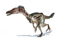Velociraptor dinosaur with feathers 3d rendering