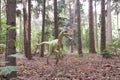 Velociraptor Dinosaur in a green natural environment.