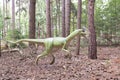 Velociraptor Dinosaur in a green natural environment.