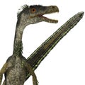 Velociraptor Dinosaur Head