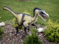 Velociraptor dinosaur