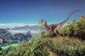 Velociraptor Dinosaur on  the  mountain Royalty Free Stock Photo