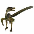 Velociraptor Dinosaur Tail