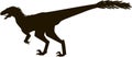Velociraptor with feathers, silhouette