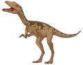 Velociraptor hand drawn dinosaur
