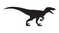Velociraptor silhouette icon sign, Raptor dinosaurs symbol design, Vector illustration Royalty Free Stock Photo