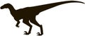 Velociraptor silhouette