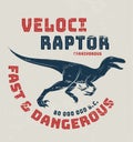 Velociraptor t-shirt design, print, typography. Royalty Free Stock Photo