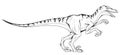 Velociraptor vector dinosaur Royalty Free Stock Photo