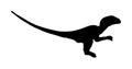 Velociraptor vector silhouette isolated on white background. Dinosaurs symbol. Jurassic era. Dino sign. Lizard dinosaur symbol. Royalty Free Stock Photo